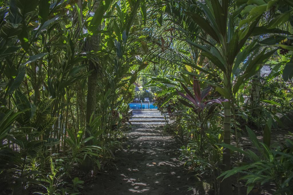 Atlantida Lodge Cahuita Exteriér fotografie
