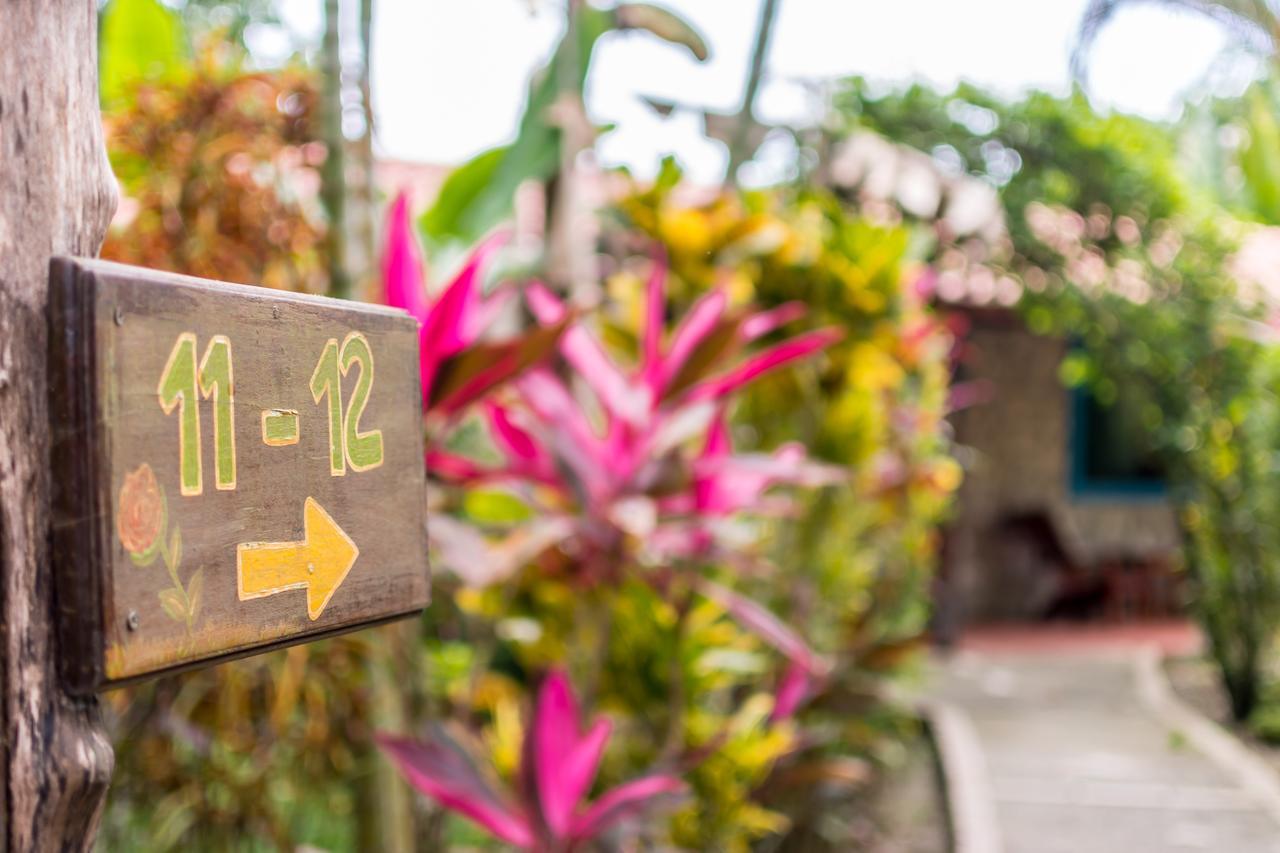 Atlantida Lodge Cahuita Exteriér fotografie