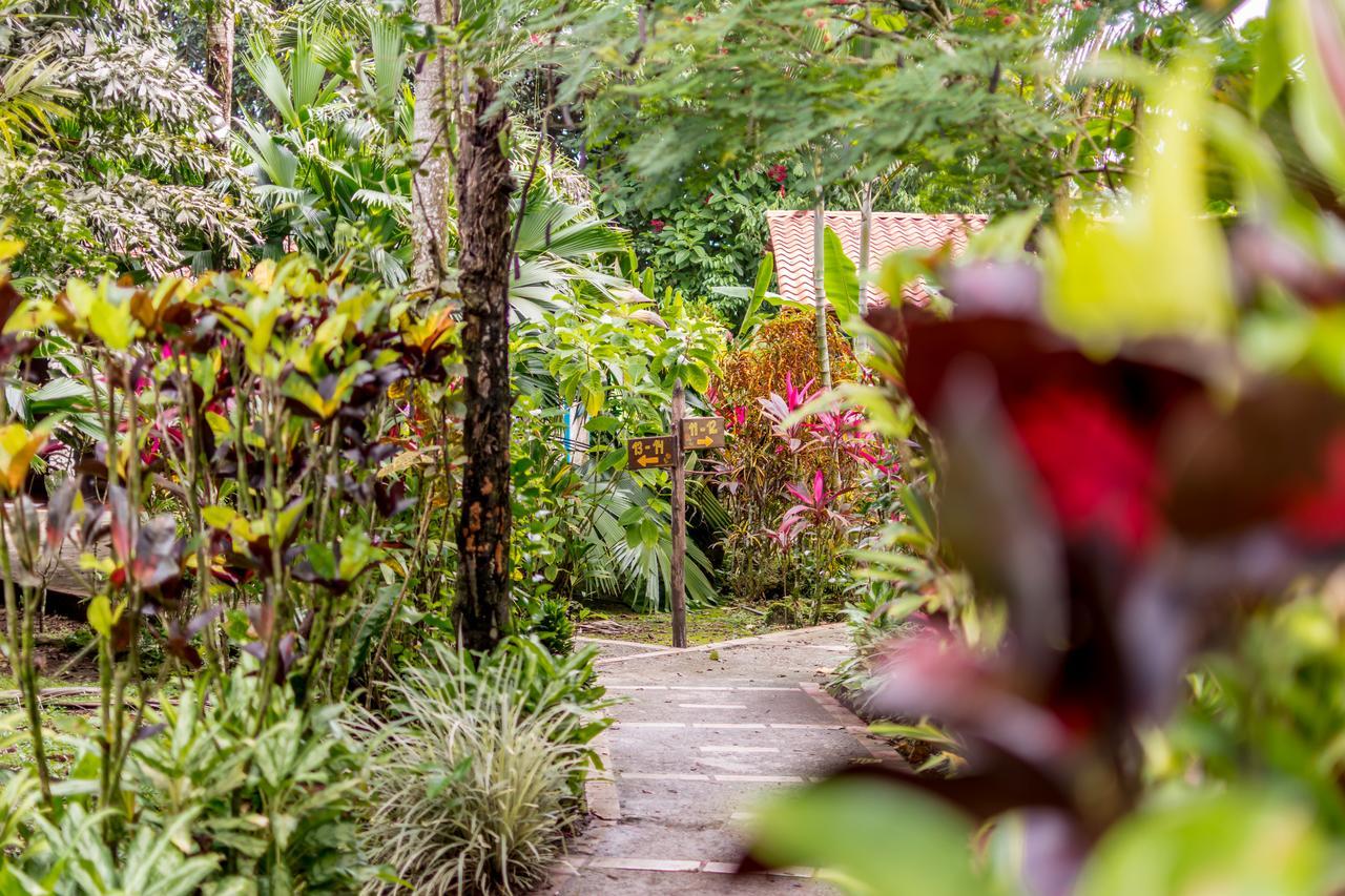 Atlantida Lodge Cahuita Exteriér fotografie