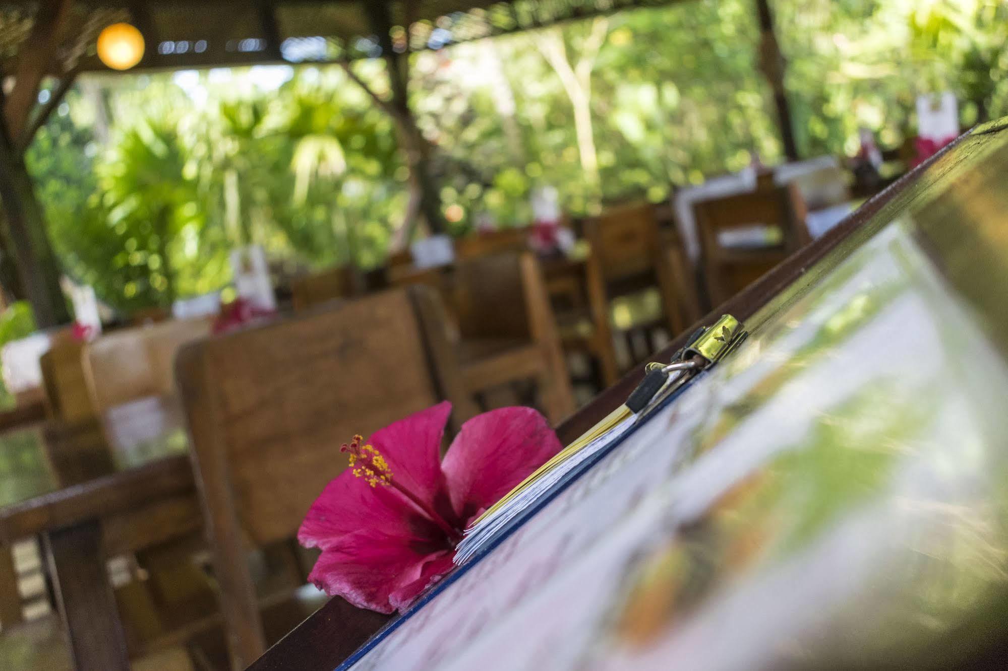 Atlantida Lodge Cahuita Exteriér fotografie