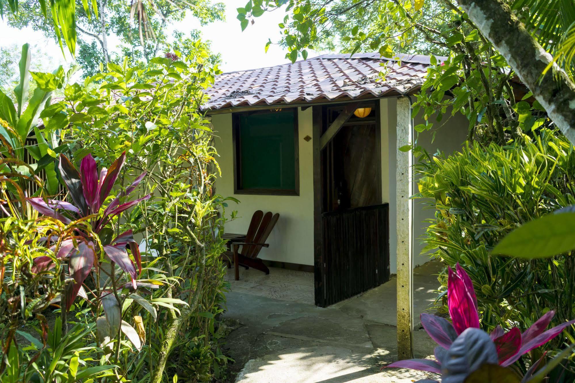 Atlantida Lodge Cahuita Exteriér fotografie